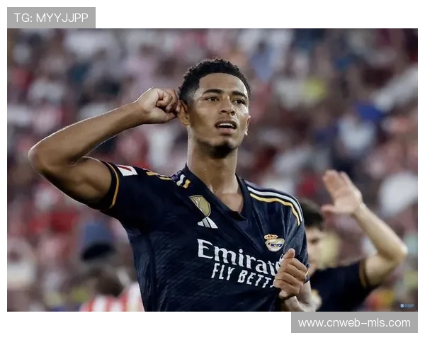 球员身价估值市场：廷贝尔转会费背后的考量